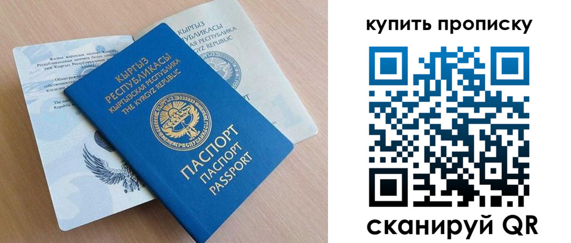 временная регистрация поиск в Коле